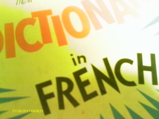 The Cat in the Hat Beginner Book Dictionary in French