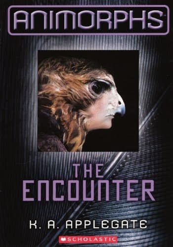 The Encounter