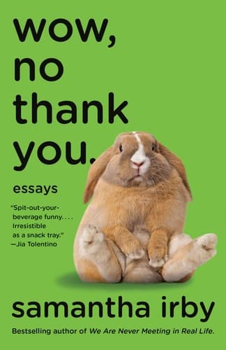Wow, No Thank You. Essays (Lambda Literary Award)