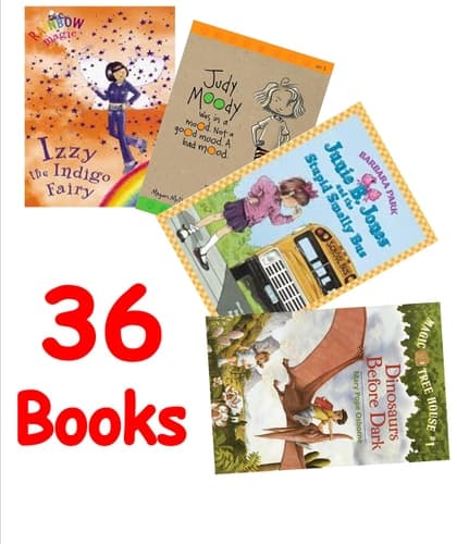 Classroom Library: Junie B. Jones; Magic Tree House; Rainbow Fairies; Dinosaurs; Animals