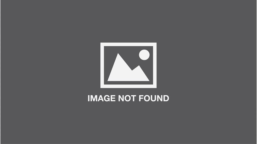 The World of Eric Carle The Very Hungry Caterpillar and Friends Colouring Pad: Over 30 Pull-Out Pages