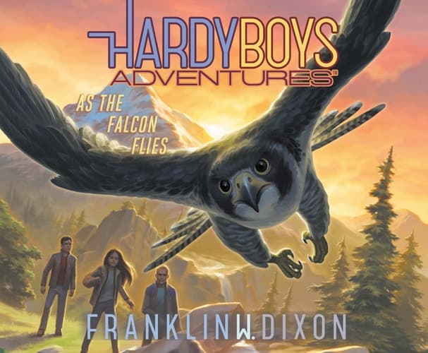 As the Falcon Flies (Volume 24) (Hardy Boys Adventures)